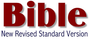 Look up bible verses